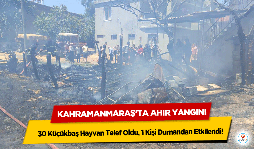 Kahramanmaraş’ta Ahır Yangını: 30 Küçükbaş Hayvan Telef Oldu, 1 Kişi Dumandan Etkilendi
