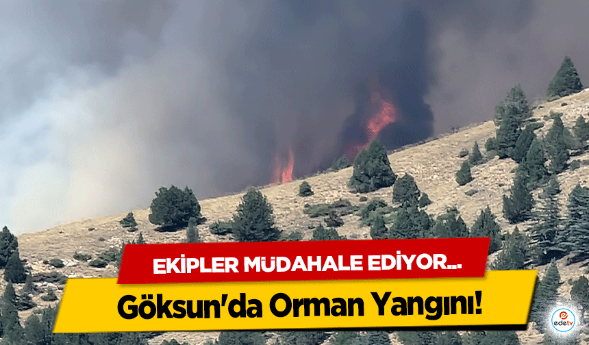 Göksun'da Orman Yangını!