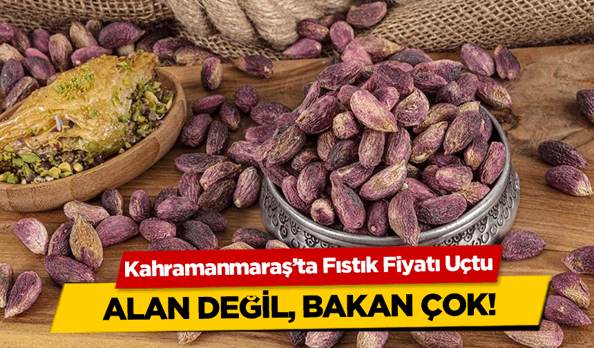 Kahramanmaraş’ta Fıstık Fiyatı Uçtu: Alan Değil, Bakan Çok!