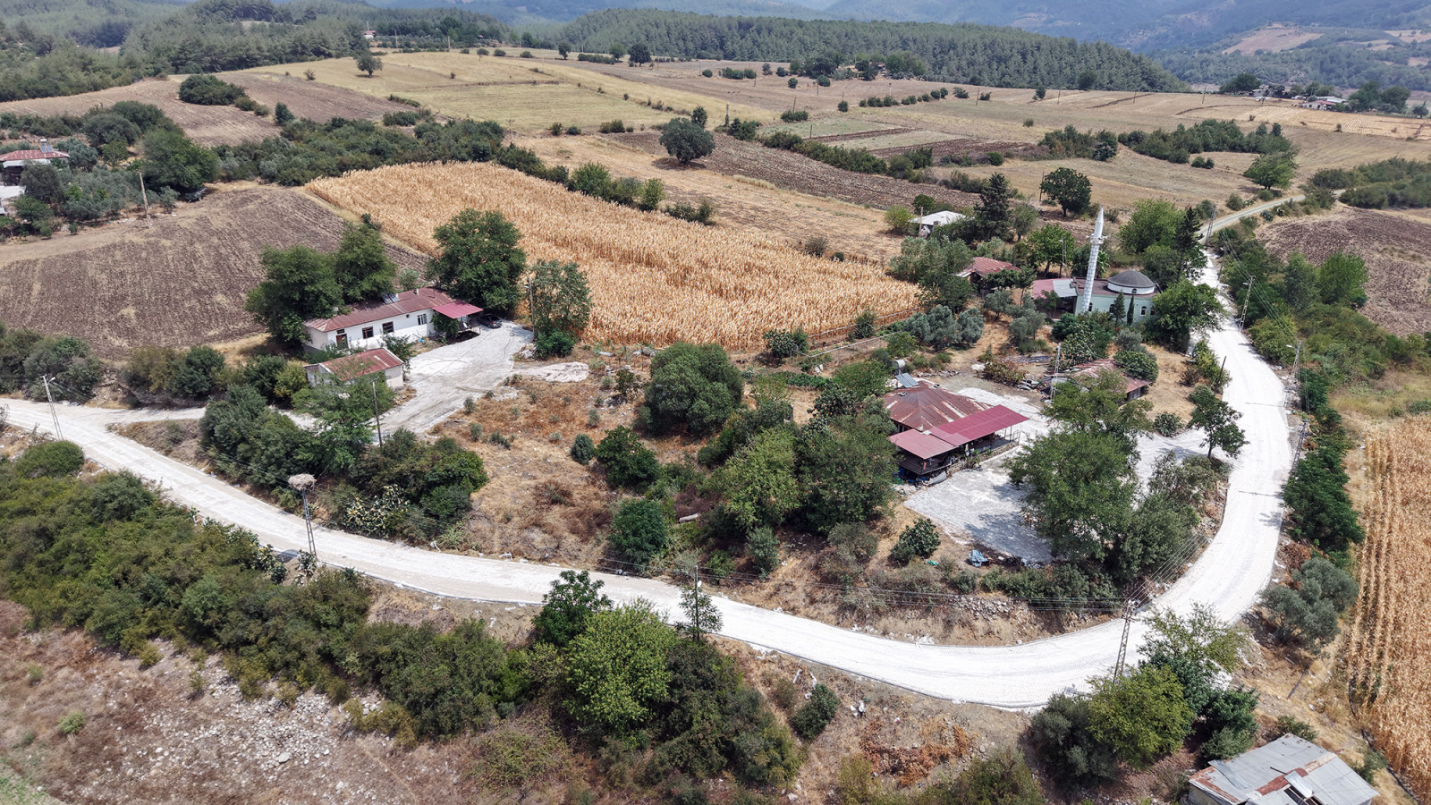 Koleli 4