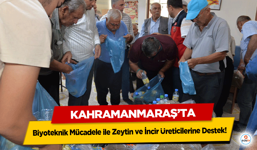 Kahramanmaraş’ta Biyoteknik Mücadele ile Zeytin ve İncir Üreticilerine Destek!