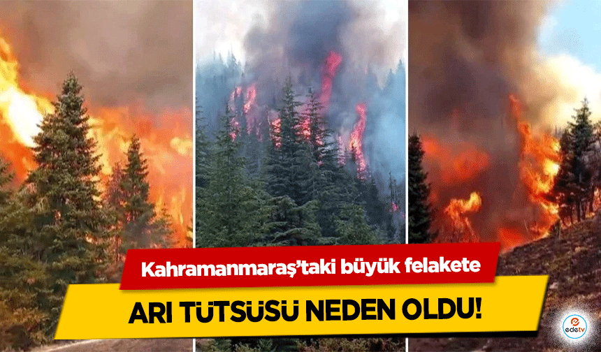 Kahramanmaraş’taki büyük felakete Arı Tütsüsü Neden Oldu!