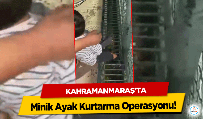 Kahramanmaraş'ta Minik Ayak Kurtarma Operasyonu!