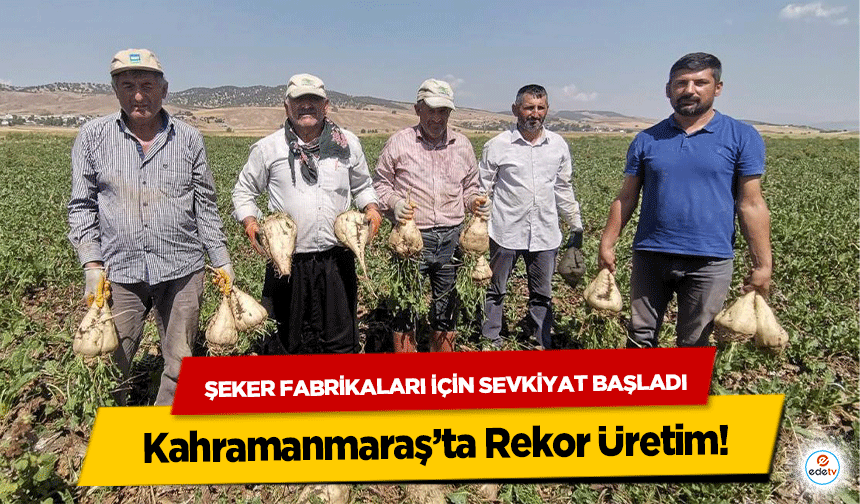 Şeker Fabrikaları İçin Sevkiyat Başladı: Kahramanmaraş’ta Rekor Üretim!