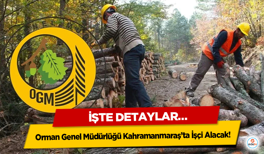 Orman Genel Müdürlüğü Kahramanmaraş’ta İşçi Alacak! İşte Detaylar…