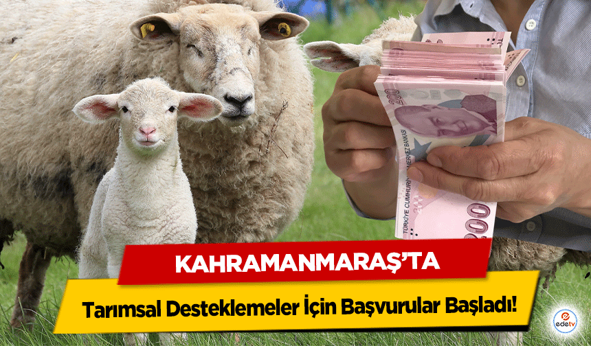 Kahramanmaraş'ta Tarımsal Desteklemeler İçin Başvurular Başladı!