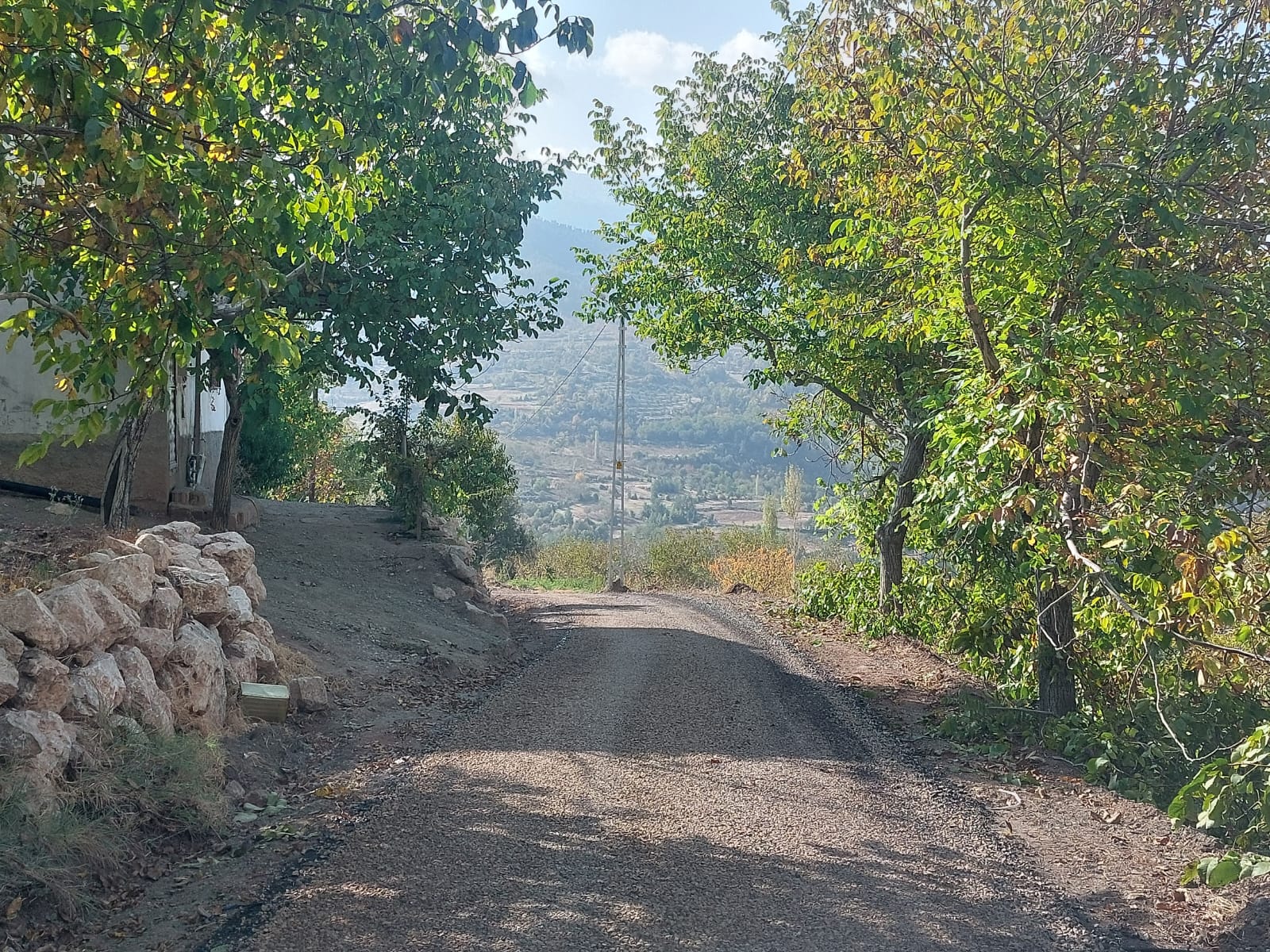 7F7Ab955 553D 4565 97Ff Cee212C985C8