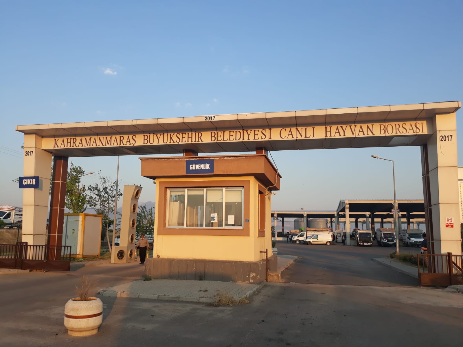 Canlı Hayvan Borsası (1)-4