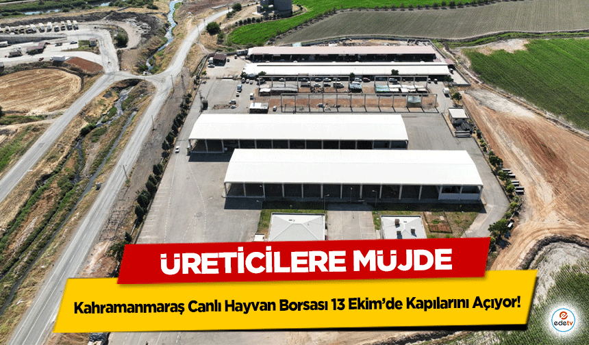 Üreticilere Müjde: Kahramanmaraş Canlı Hayvan Borsası 13 Ekim’de Kapılarını Açıyor!