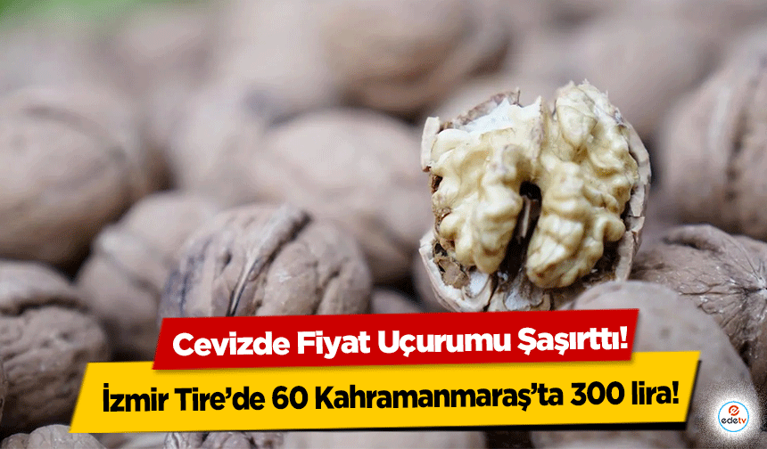 İzmir Tire’de 60, Kahramanmaraş’ta 300 Lira! Cevizde Fiyat Uçurumu Şaşırttı