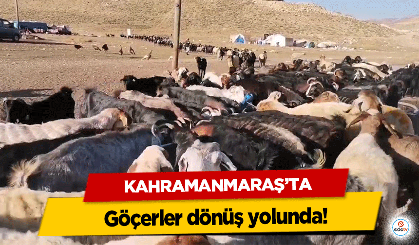 Kahramanmaraş’ta göçerler dönüş yolunda!