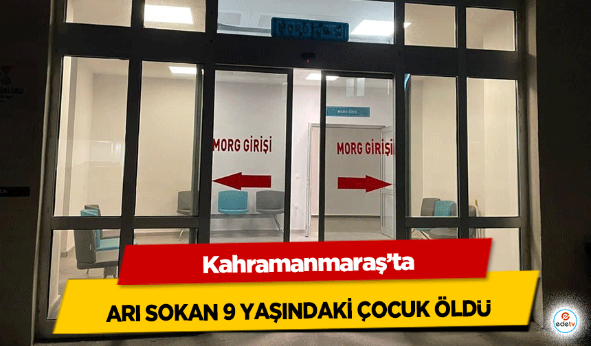 Kahramanmaraş’ta arı sokan 9 yaşındaki çocuk öldü