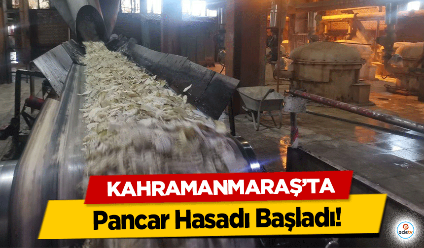 Kahramanmaraş’ta Pancar Hasadı Başladı!