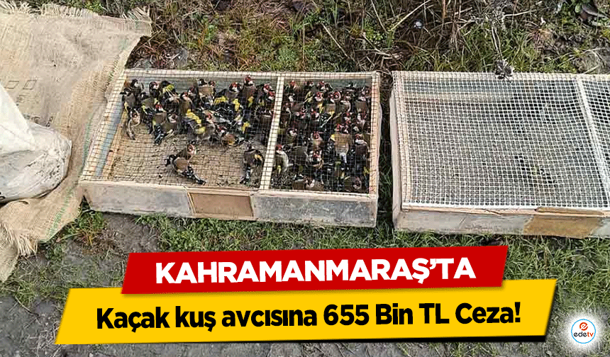 Kahramanmaraş’ta kaçak kuş avcısına 655 Bin TL Ceza!