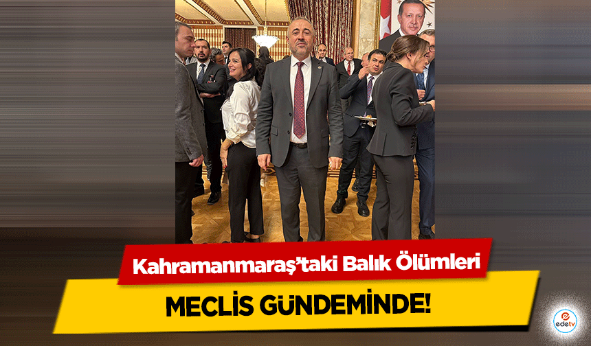 Kahramanmaraş’taki Balık Ölümleri Meclis Gündeminde!