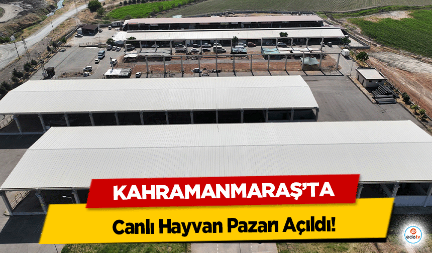 Kahramanmaraş’ta Canlı Hayvan Pazarı Açıldı!