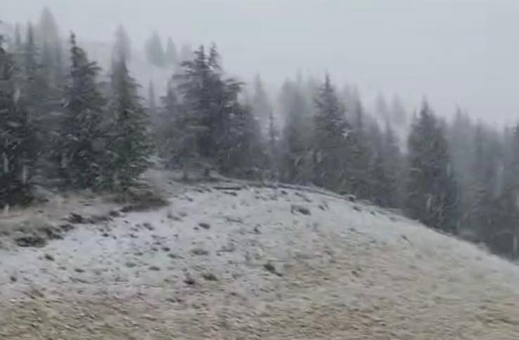 580642372 1288914216595899 6121657602491958542 N