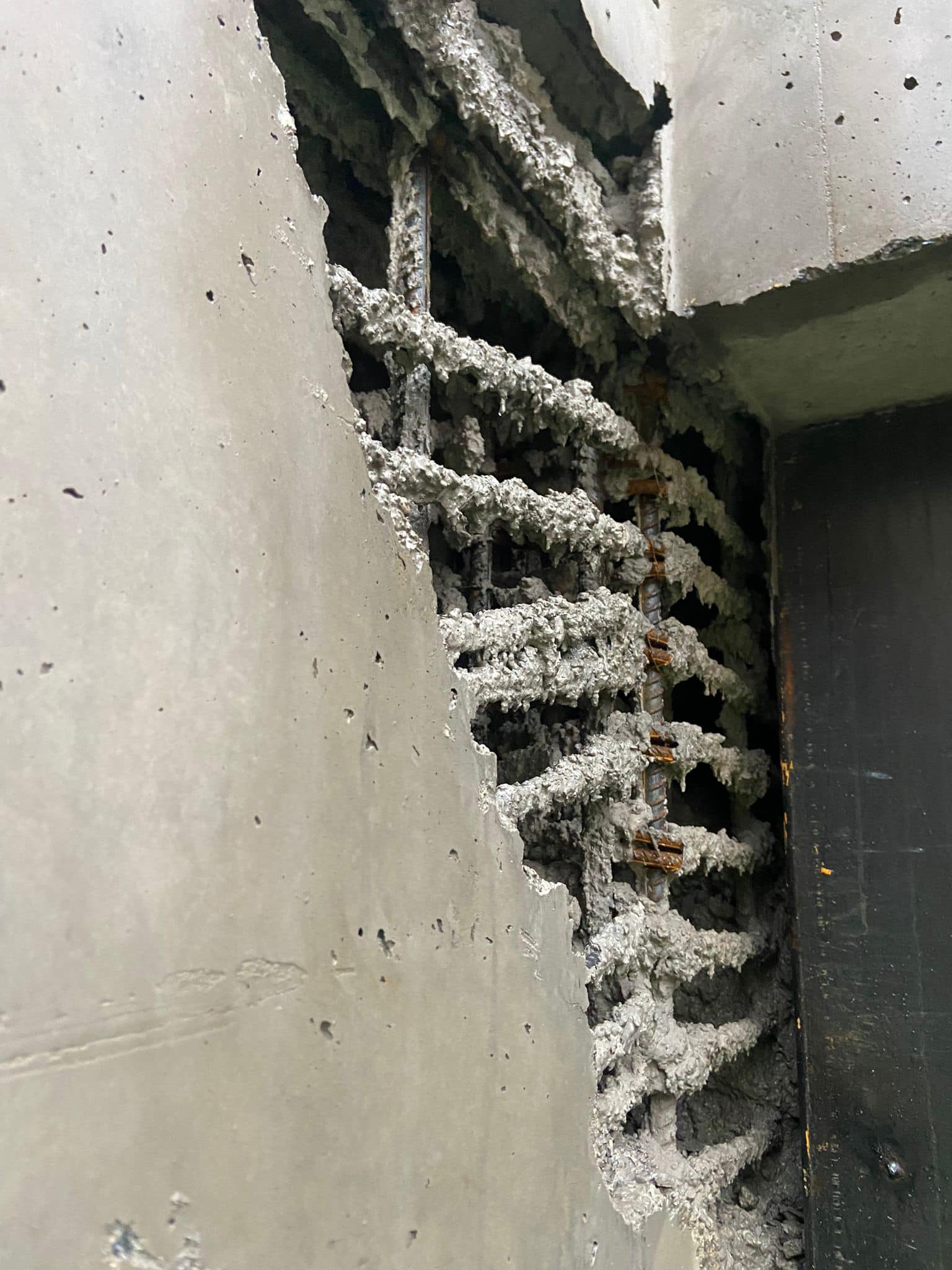 581280179 24696010360079036 1029842491652478269 N