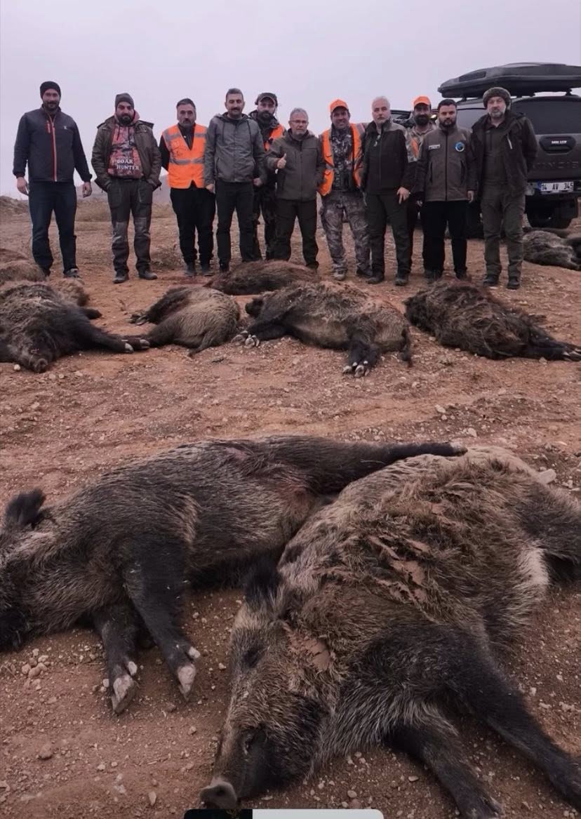 585883813 1305488461606954 5098415874334692766 N