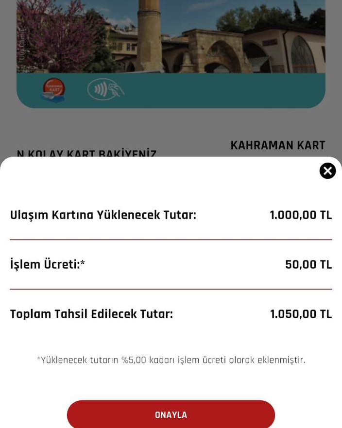 586440166 1296893495797971 6394568769481587108 N