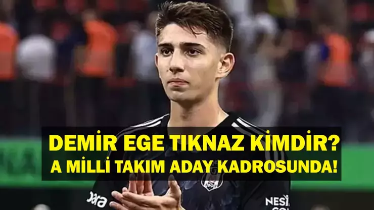 Demir Ege Tıknaz kimdir?