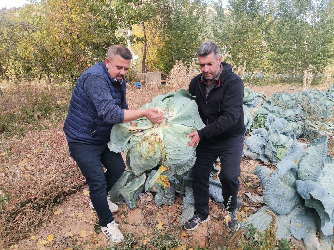 D1883D6F 1Ac1 441F Bf75 168127886Aa8