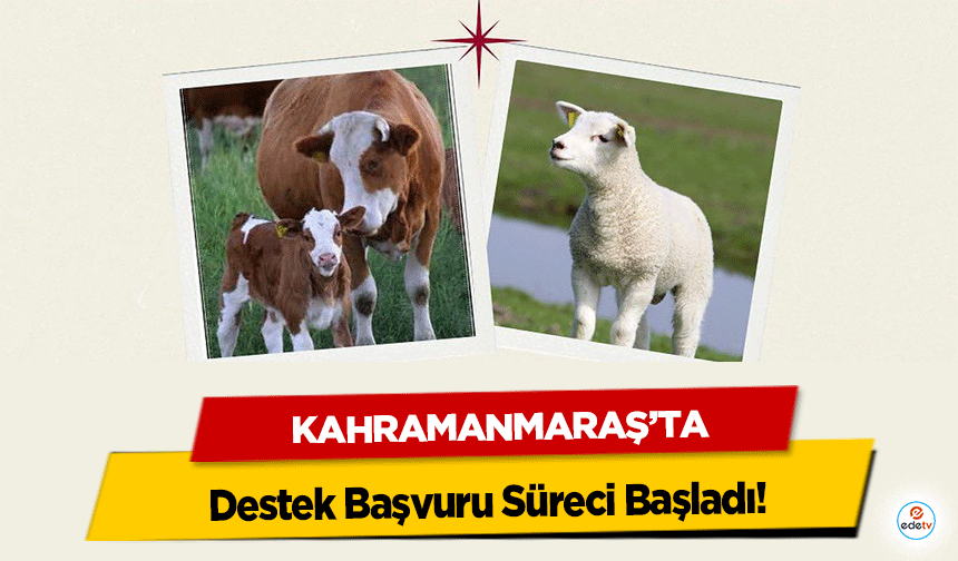 Kahramanmaraş’ta Destek Başvuru Süreci Başladı!