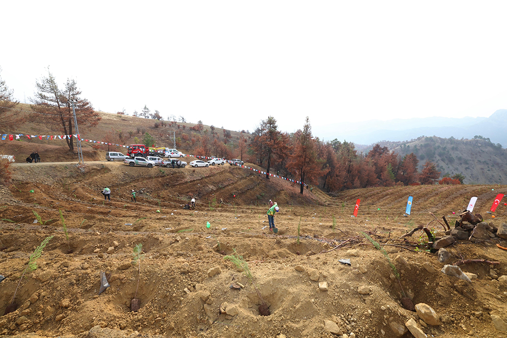 Whatsapp Image 2025 11 11 At 14.03.34 (3)