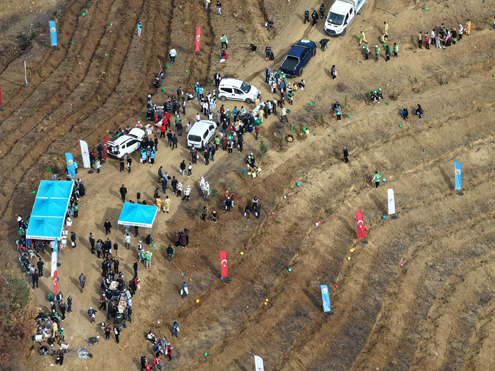 Whatsapp Image 2025 11 11 At 14.41.54