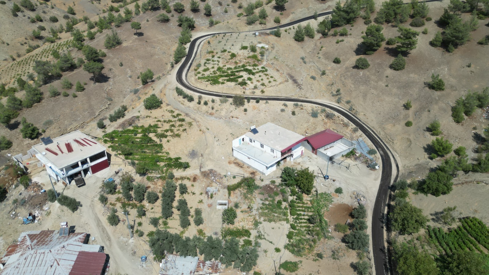 332E299E B282 43D6 82Ca 176D30Ae3157