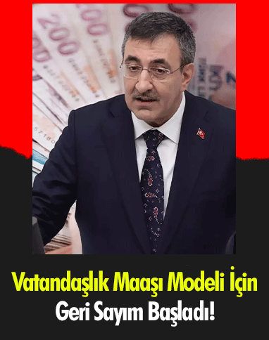 Vatandaşlık Maaşı Modeli İçin Geri Sayım Başladı!