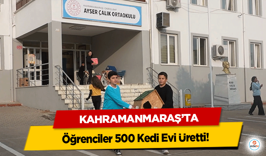 Kahramanmaraş’ta öğrenciler 500 Kedi Evi Üretti!