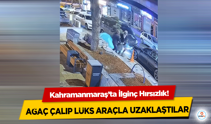 Kahramanmaraş’ta İlginç Hırsızlık! Ağaç Çalıp Lüks Araçla Uzaklaştılar