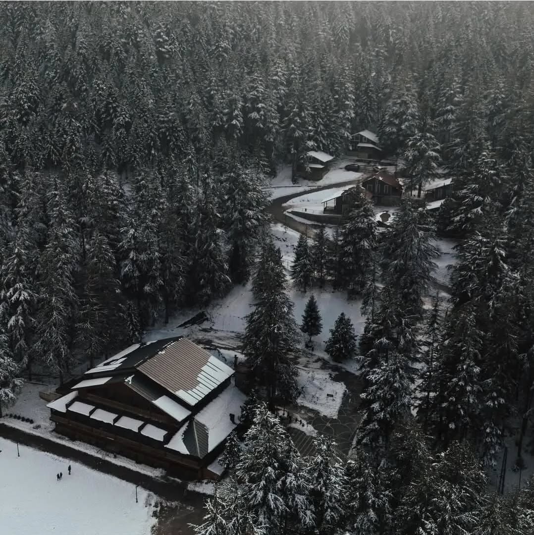 610604267 1505209644438295 3244748969734062142 N