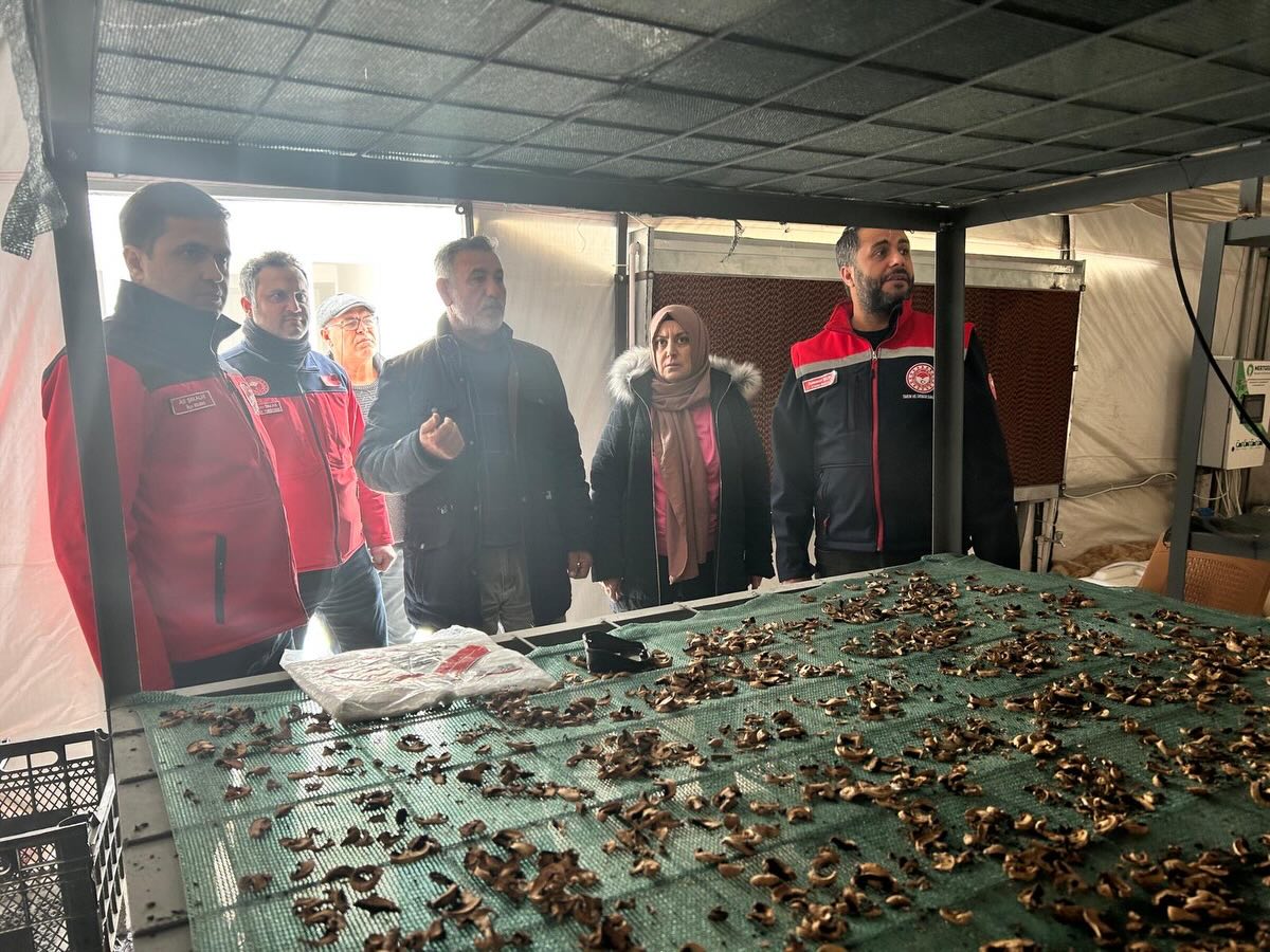 622125522 18044729978711312 2226028253115615567 N