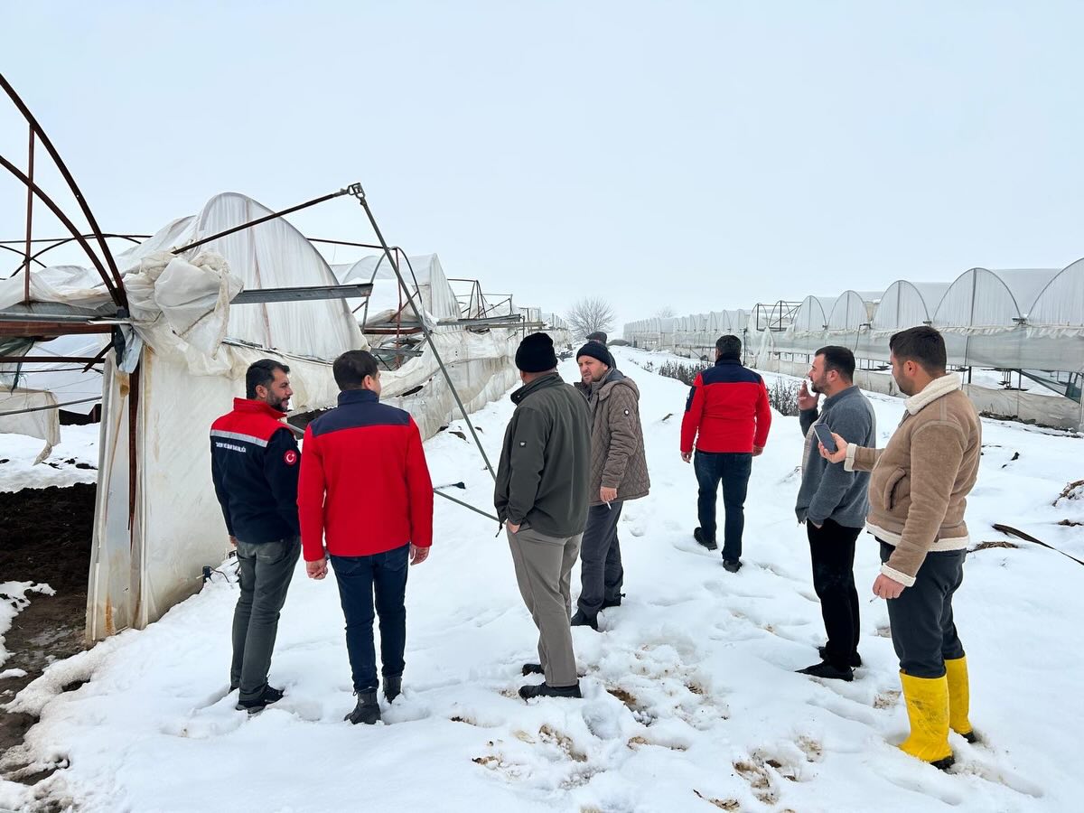 623059446 18044729987711312 5667112389467624634 N