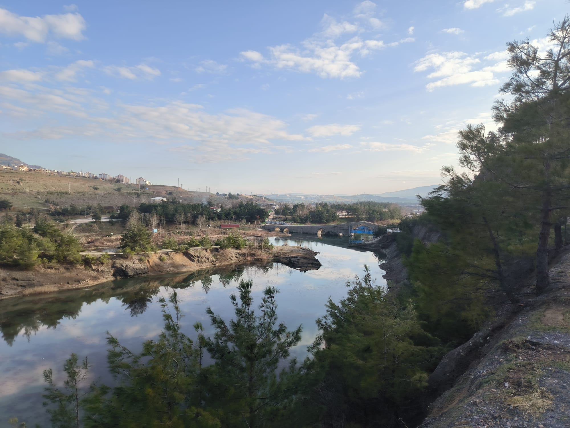 038Cb89E E19A 4E37 90F8 22B6Ba3F7231