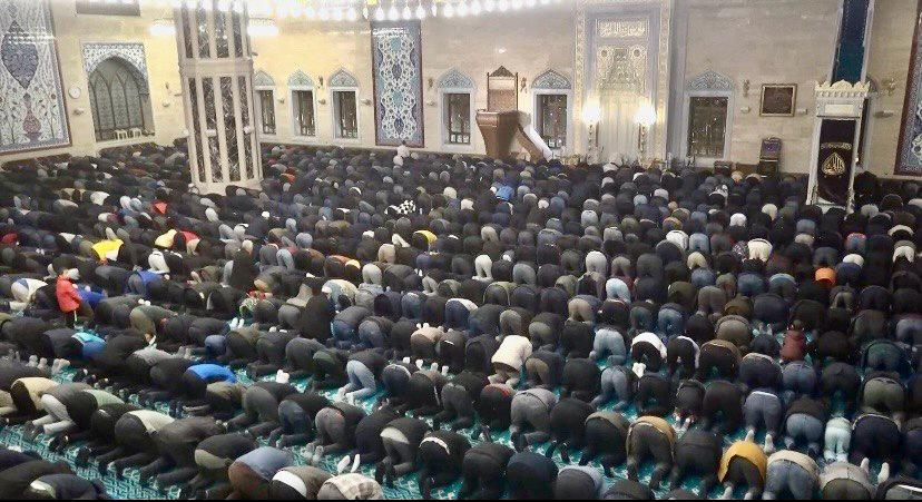 8Efd488C 339F 4326 Bcc8 Acd1Fcfe27Ac