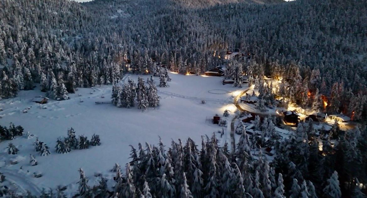 B76Ece3B Deb8 4739 983B 3D3Ea3176C21