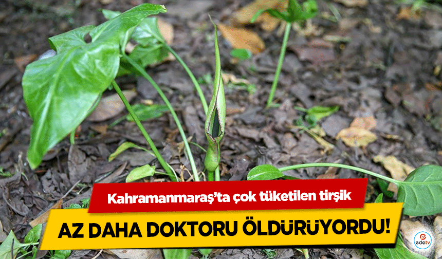 Kahramanmaraş’ta çok tüketilen tirşik az daha doktoru öldürüyordu!