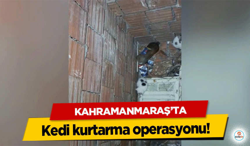 Kahramanmaraş’ta kedi kurtarma operasyonu!