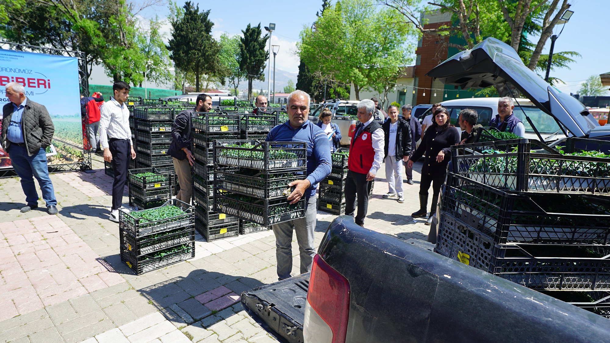 Fide Dağıtımı (7)