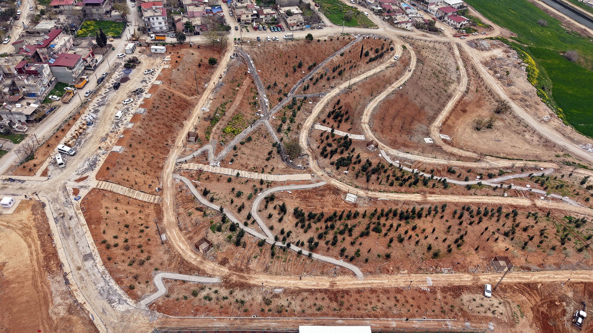 Karbon Yutak Alanı (10)