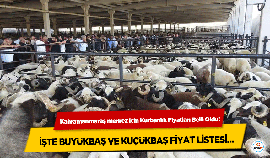 Kahramanmaraş merkez için Kurbanlık Fiyatları Belli Oldu! İşte Büyükbaş Ve Küçükbaş Fiyat Listesi…