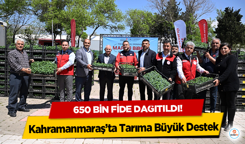 Kahramanmaraş’ta Tarıma Büyük Destek: 650 Bin Fide Dağıtıldı!