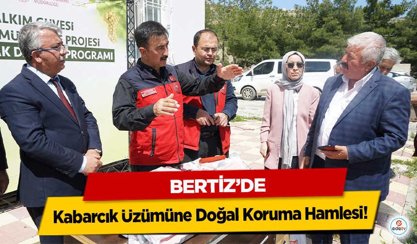 Bertiz’de Kabarcık Üzümüne Doğal Koruma Hamlesi!