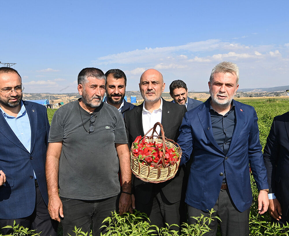 Maraş Biberi Hasadı (4)