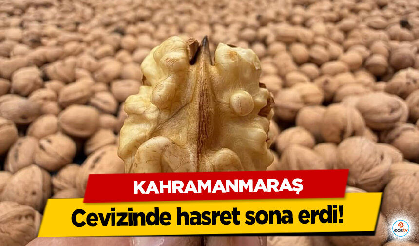 Kahramanmaraş cevizinde hasret sona erdi!
