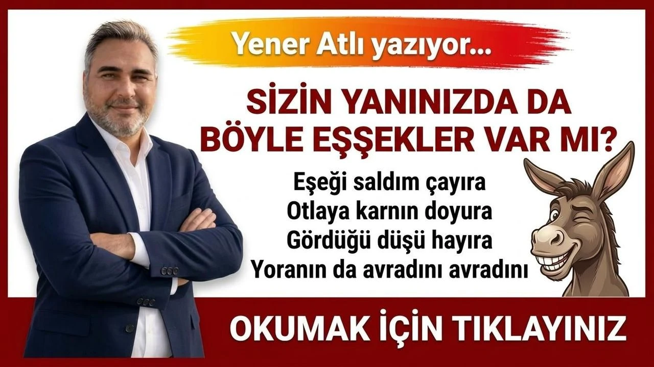 Si̇zi̇n Yaninizda Da Böyle Eşşekler Var Mi
